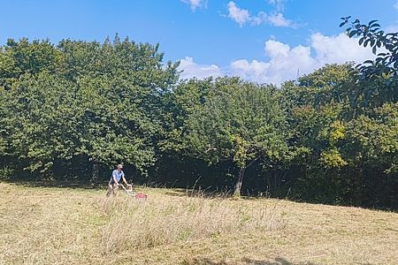 Streuobstwiese__2025_2